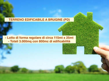 foto principale del terreno