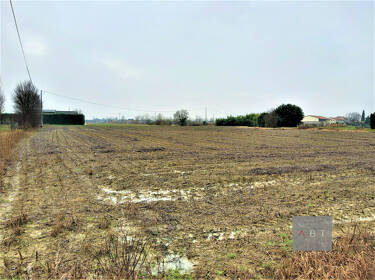 foto principale del terreno