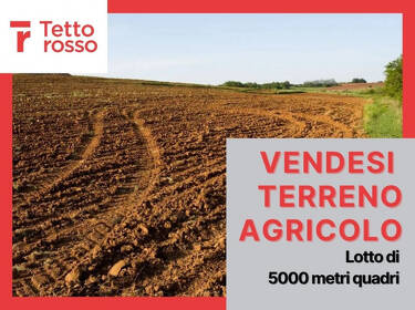 foto principale del terreno