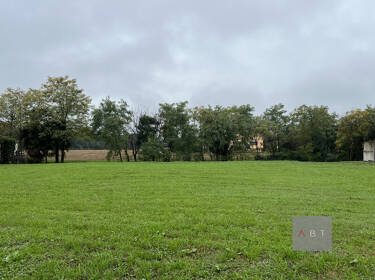 foto principale del terreno