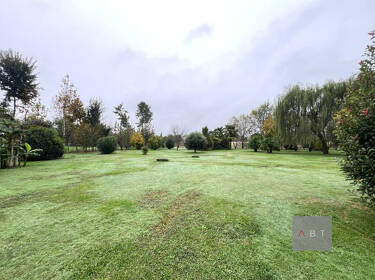 foto principale del terreno