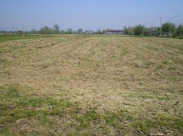 foto principale del terreno