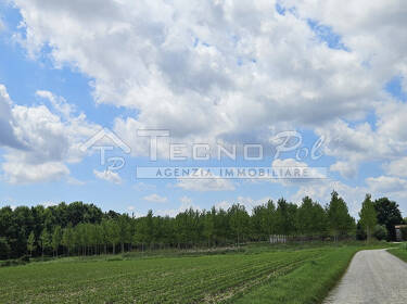 foto principale del terreno