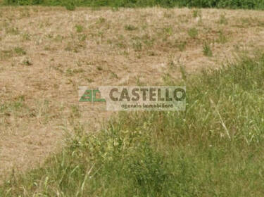 foto principale del terreno