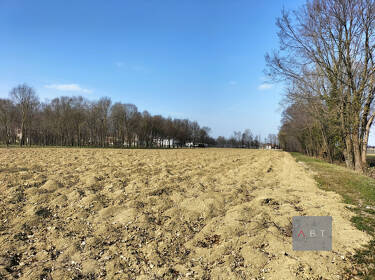 foto principale del terreno