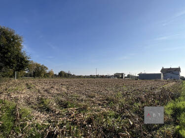 foto principale del terreno