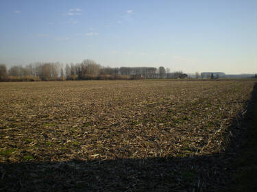 foto principale del terreno