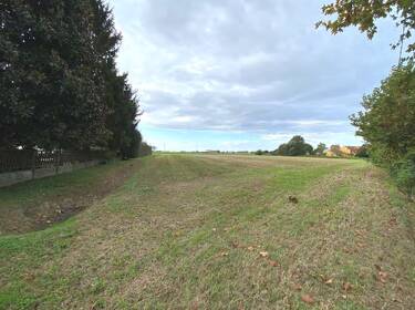 foto principale del terreno