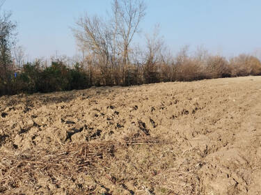 foto principale del terreno