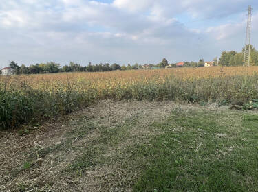 foto principale del terreno