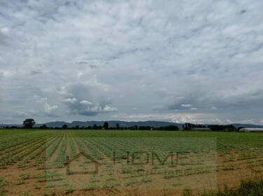 foto principale del terreno