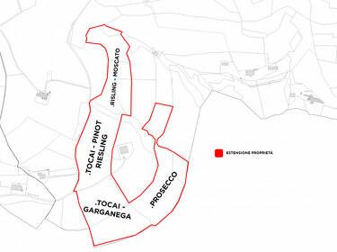 foto principale del terreno