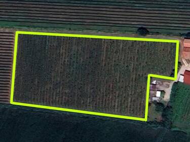 foto principale del terreno