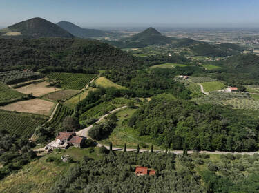 foto principale del terreno