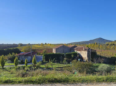 foto principale del terreno