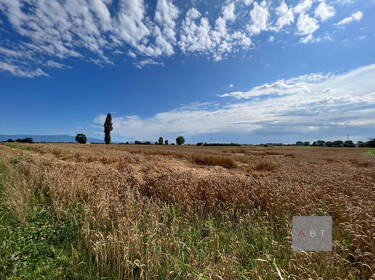 foto principale del terreno