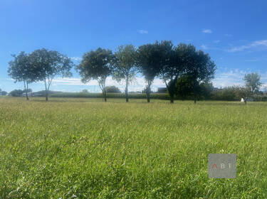 foto principale del terreno