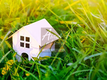 foto principale del terreno