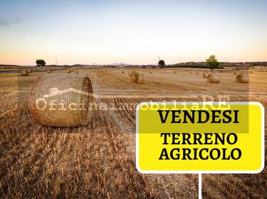 foto principale del terreno