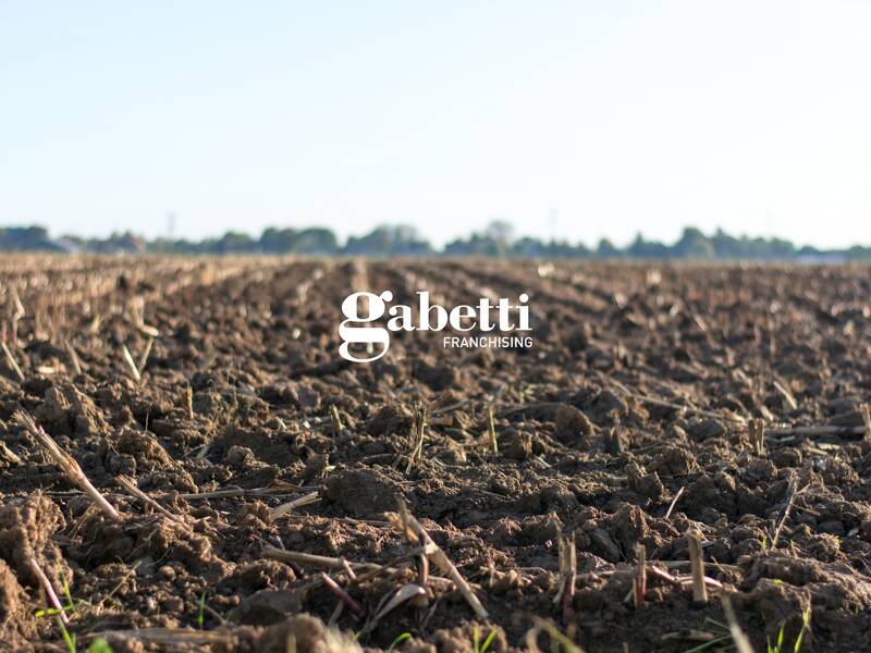 foto principale del terreno