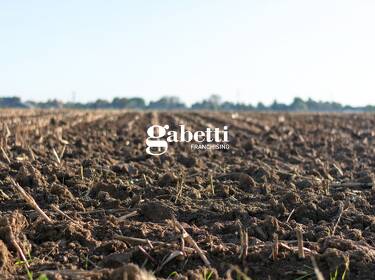 foto principale del terreno