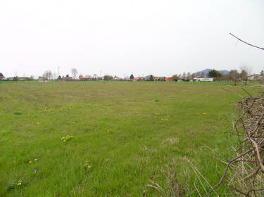 foto principale del terreno