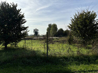 foto principale del terreno