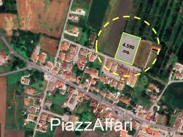 foto principale del terreno