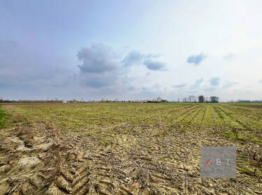 foto principale del terreno