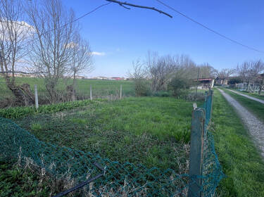 foto principale del terreno