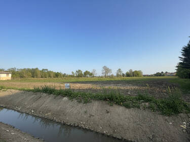 foto principale del terreno