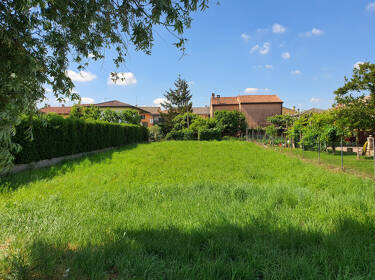 foto principale del terreno