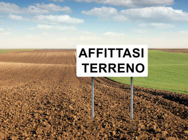 foto principale del terreno