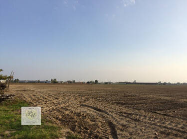 foto principale del terreno