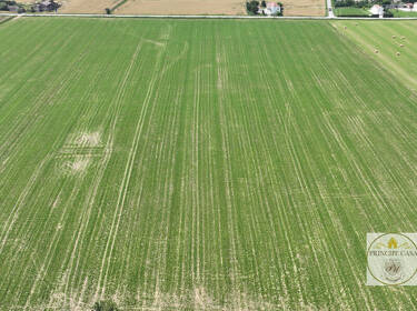 foto principale del terreno