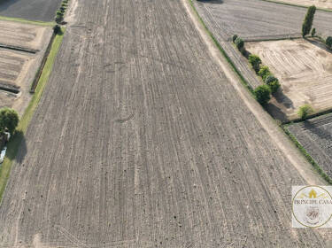 foto principale del terreno