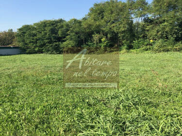 foto principale del terreno