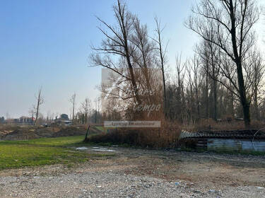 foto principale del terreno