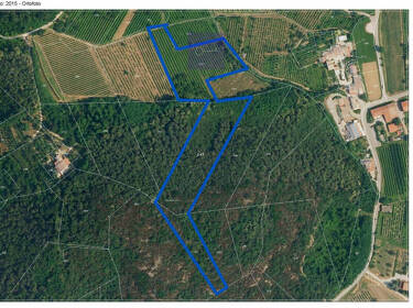 foto principale del terreno