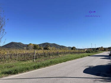 foto principale del terreno