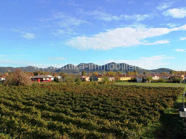 foto principale del terreno