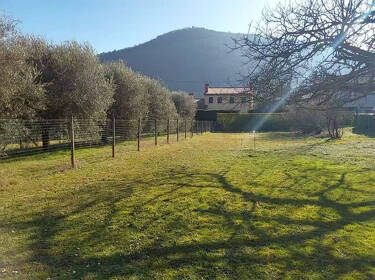 foto principale del terreno