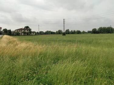 foto principale del terreno