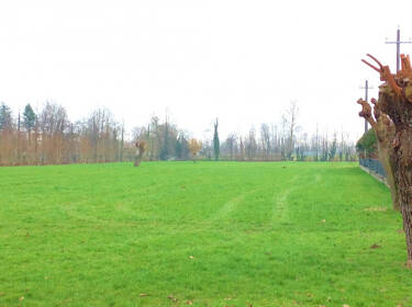 foto principale del terreno