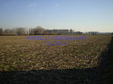 foto principale del terreno