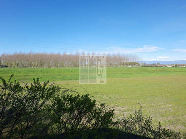 foto principale del terreno