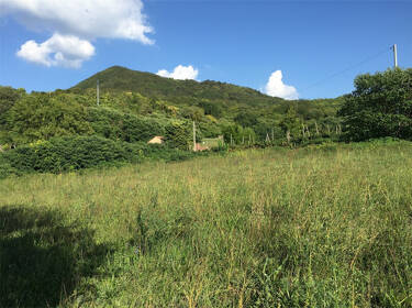 foto principale del terreno