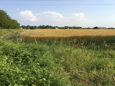 foto principale del terreno