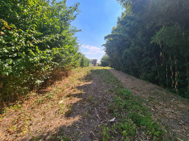 foto principale del terreno