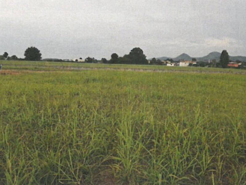 foto principale del terreno